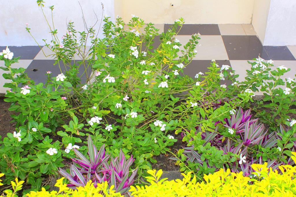 Hotel Loreto Cape Coast Exterior foto